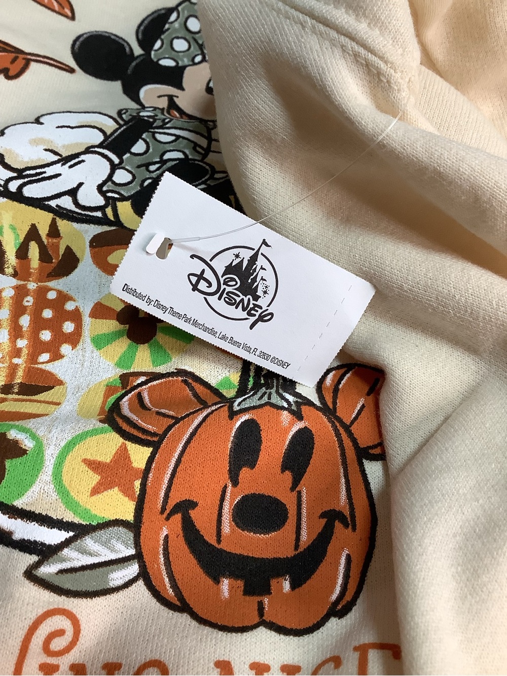 Disneyland Resort ~ Halloween ~ Pumpkin Spice & Everything Nice ~ Sweatshirt M-L - Picture 9 of 16